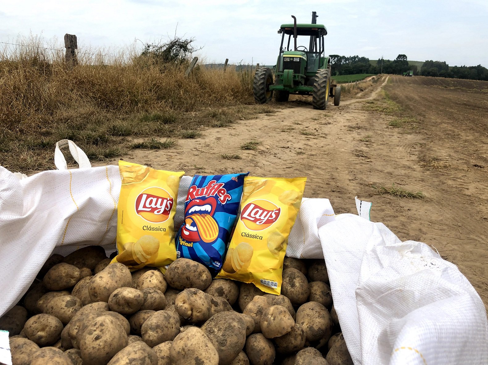 As batatas LAY'S®, RUFFLES® e ELMA CHIPS® são batatas de verdade e de produção 100% sustentável e verificada pelo Programa de Agricultura Sustentável da PepsiCo.