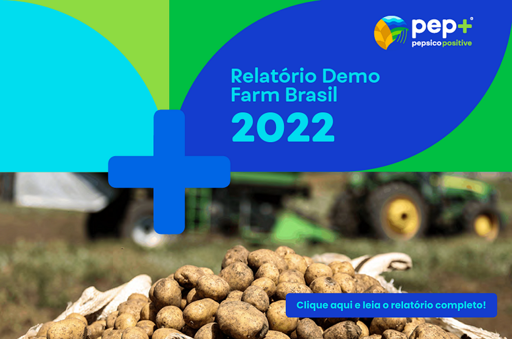 Relatório Demofarms