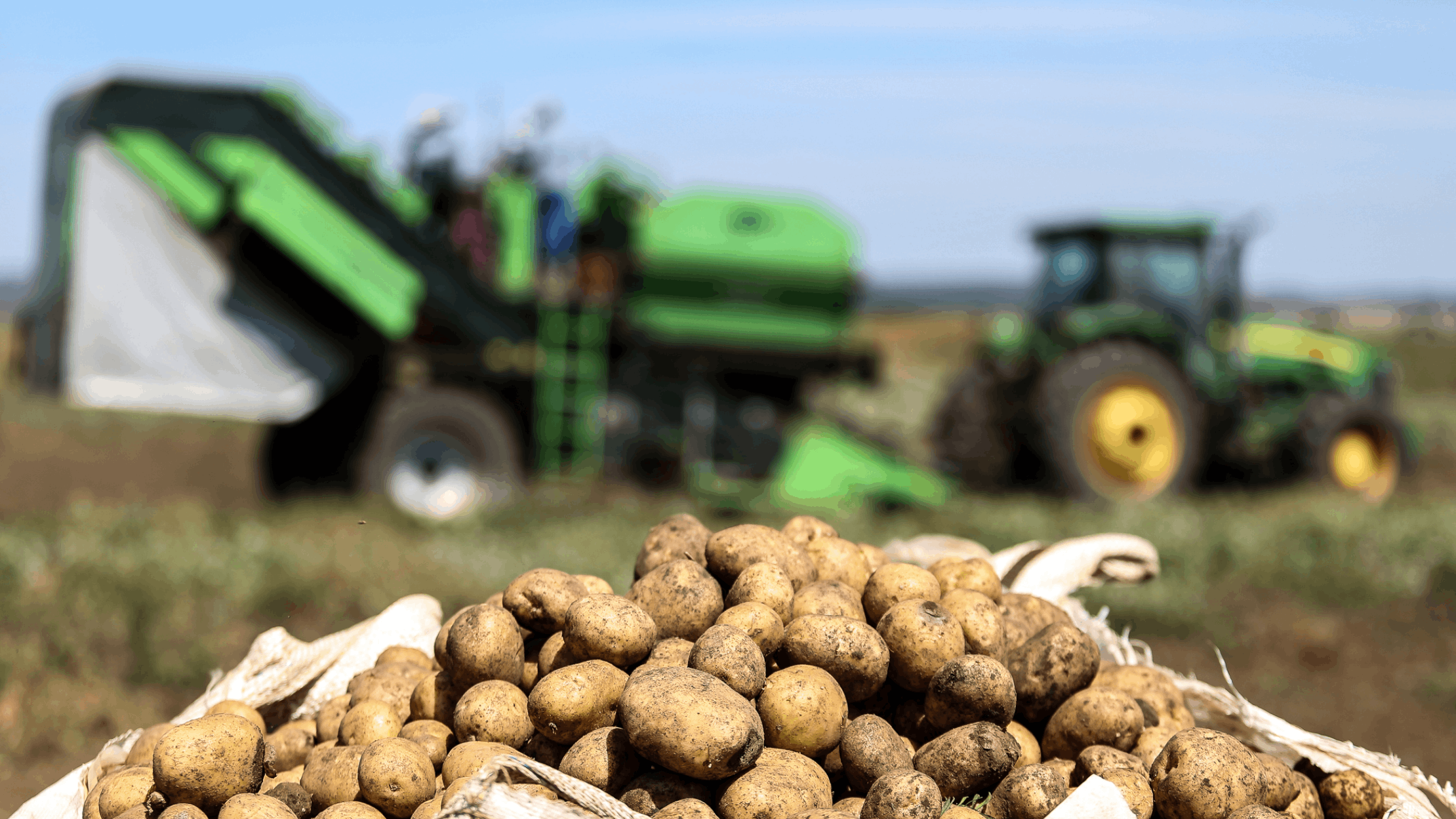 Batata de Verdade - As batatas PepsiCo s&#227;o de verdade e de produ&#231;&#227;o 100% sustent&#225;vel