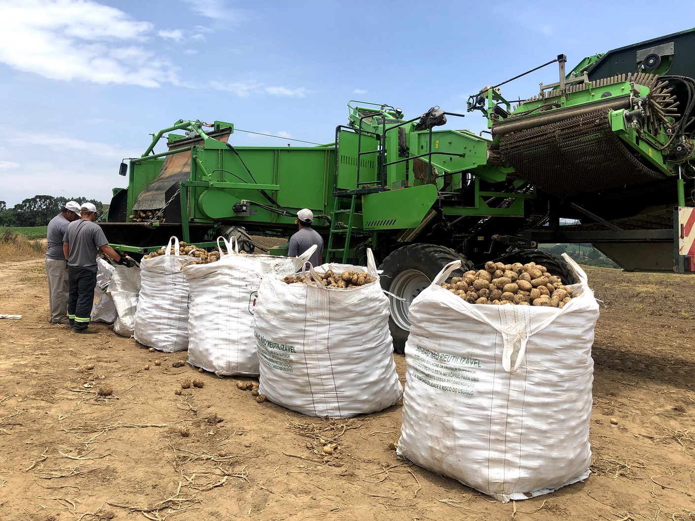 Batata de Verdade - Produ&#231;&#227;o 100% verificada pelo Programa de Agricultura Sustent&#225;vel