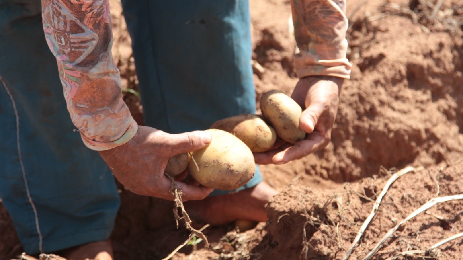 Agro_NovaGeraçãoCortada