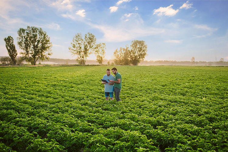 men-with computer-in-field